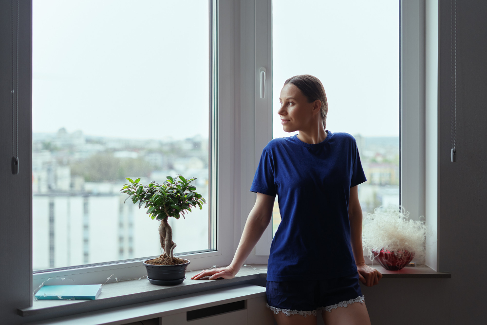 Wilkes-Barre Bay & Bow Windows